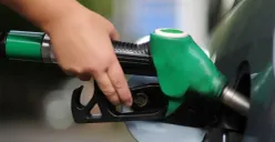 Ilustrasi (Sumber: Istimewa)