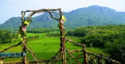 Desa Wisata Srimulyo Edu Park: Harmoni Alam, Edukasi, dan Rekreasi yang Menawan (Foto: Veronika Larasati)