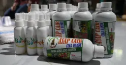 Cuka Bambu (Sumber: Istimewa)