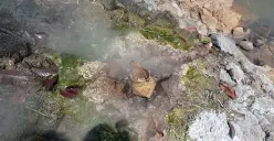 Wisata Air Panas GEMUKHAK: Keindahan Alam dan Relaksasi Alami di OKU Selatan (Foto: Bima Danau Arta)