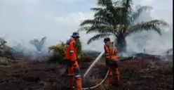 Petugas BPBD Sumsel melakukan pemadaman karhutla di Rambai, Kabupaten OKI (Sumber: Istimewa)