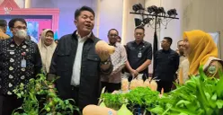 Gubernur Sumatera Selatan Herman Deru meninjau stan hasil pangan lokal. (Sumber: Istimewa)