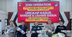 Polda Sumsel berhasil ungkap ladang ganja 20 hektare di Empat Lawang, amankan 220 kg ganja siap edar. (Sumber: Istimewa)