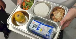 Ilustrasi MBG (Sumber: Istimewa)