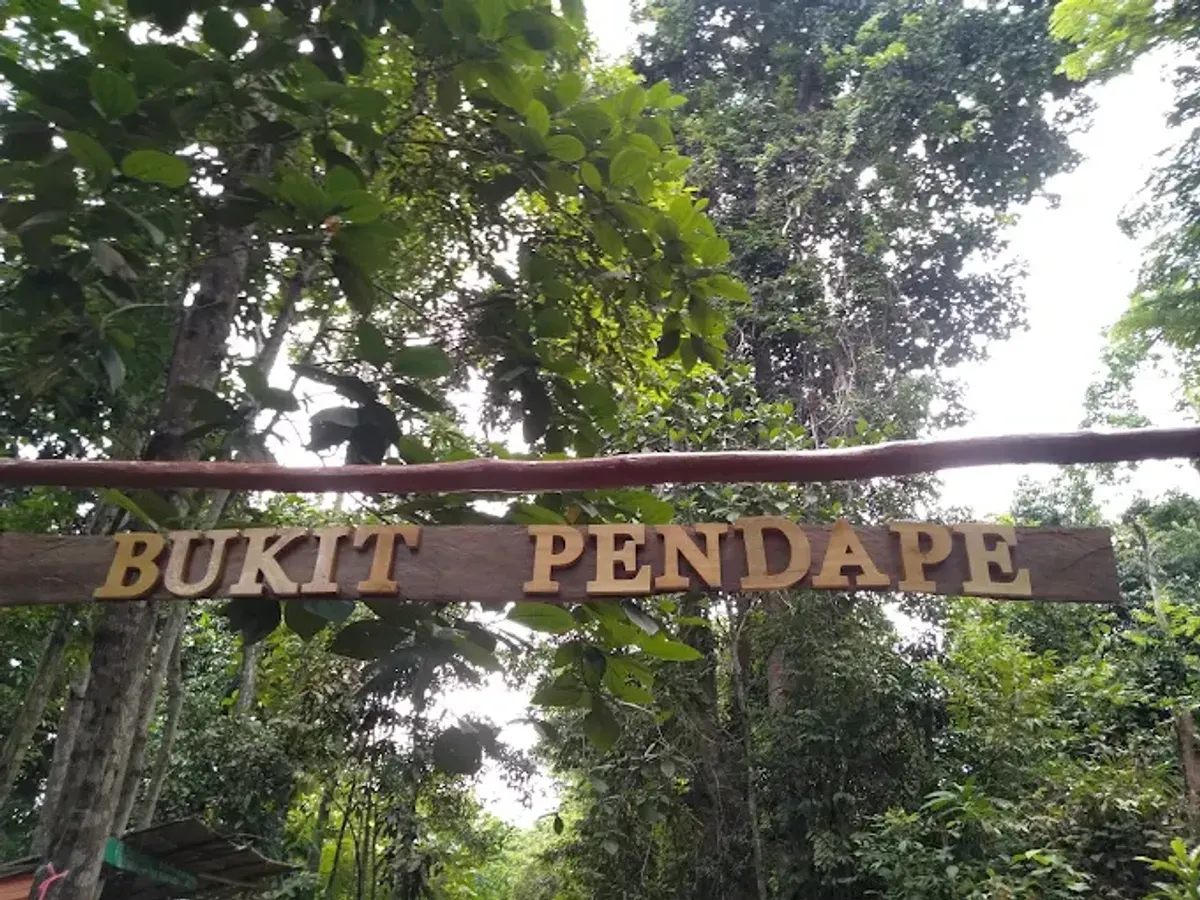 Bukit Pendape (Desa Kramat Jaya, Kec. Sungai Keruh): Pesona Alam yang Wajib Dikunjungi (Sumber: Bukit Pendape)