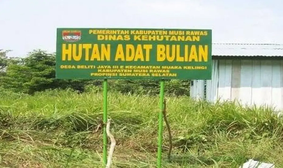 Mengenal Hutan Adat Bulian: Warisan Alam dan Kearifan Lokal yang Menakjubkan di Sumatera Selatan (Foto: giwang.sumselprov)