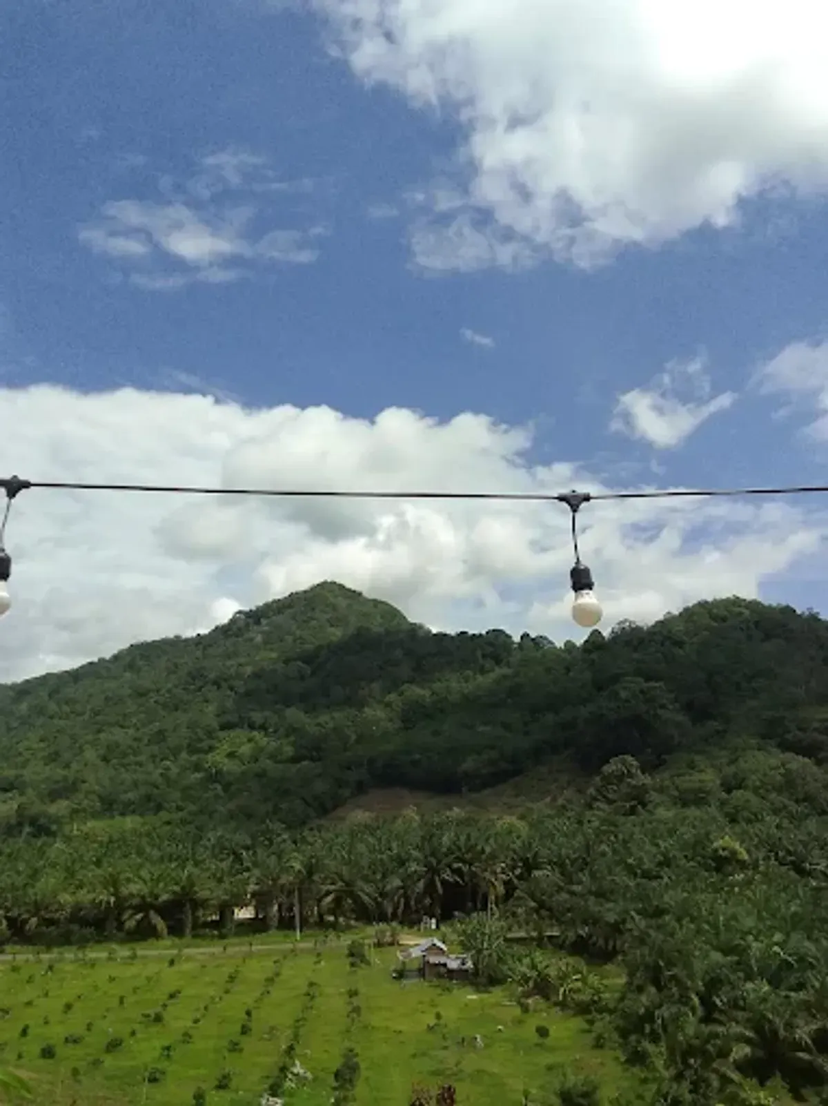 Pesona Pisek Kite Park: Destinasi Wisata Seru untuk Pecinta Rekreasi Alam dan Layang-Layang (Foto: Maha Rani)