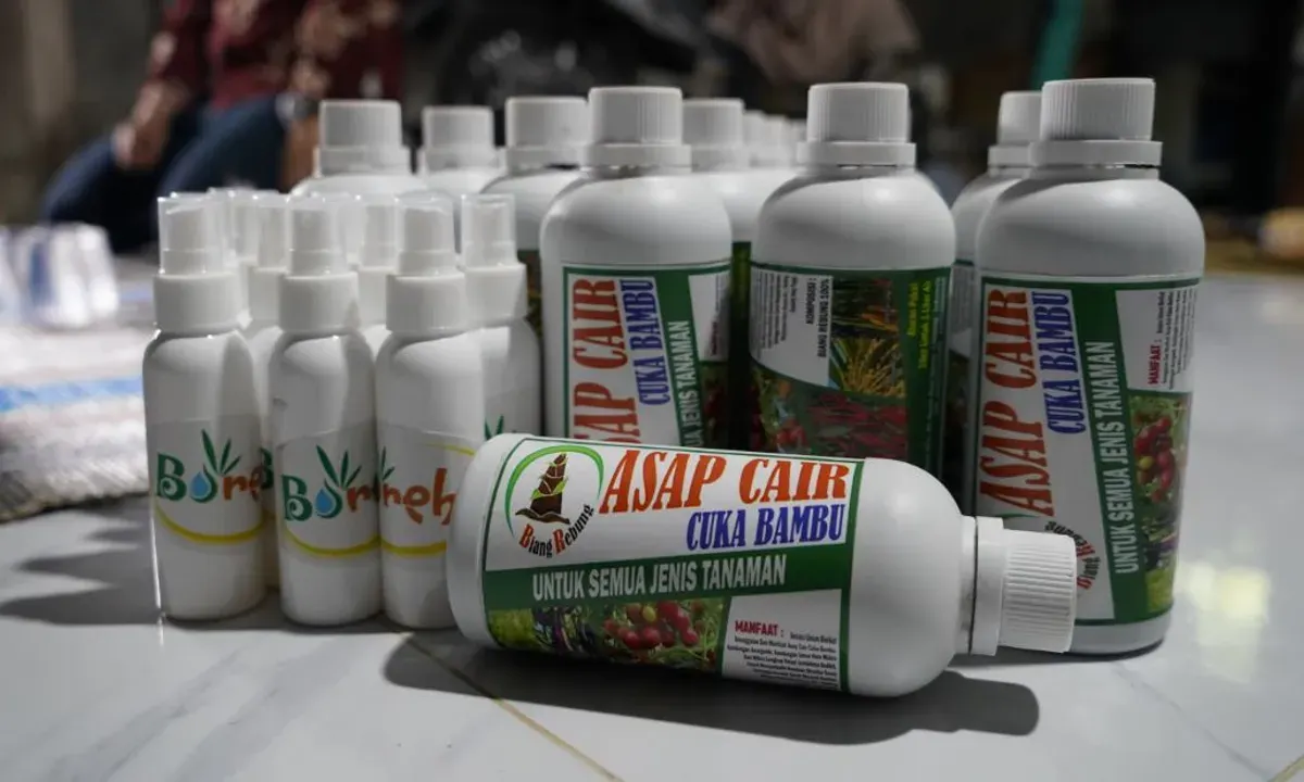 Cuka Bambu (Sumber: Istimewa)