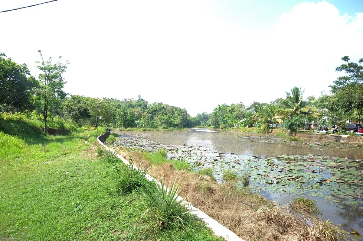 Danau Kalimancalak: Pesona Tersembunyi yang Menyejukkan Jiwa di Tengah Alam Asri (Foto: giwang.sumselprov)