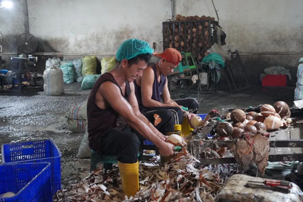 Para pekerja di PT YSK KOS, Pegayut, Kabupaten Ogan Ilir, sedang mengurus produksi santan (Sumber: Istimewa)