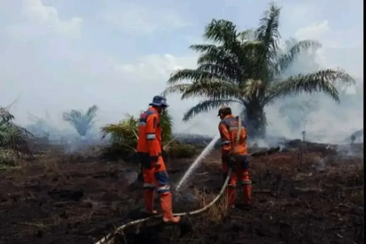 Petugas BPBD Sumsel melakukan pemadaman karhutla di Rambai, Kabupaten OKI (Sumber: Istimewa)