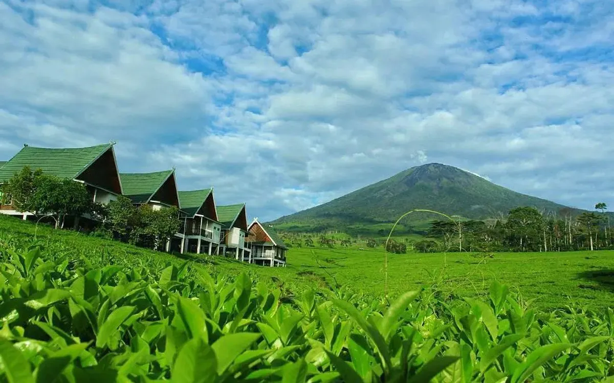Kota Pagar Alam: Permata Alam di Kaki Gunung Dempo (Sumber: Pinterest | Foto: Ardes kurniawan)
