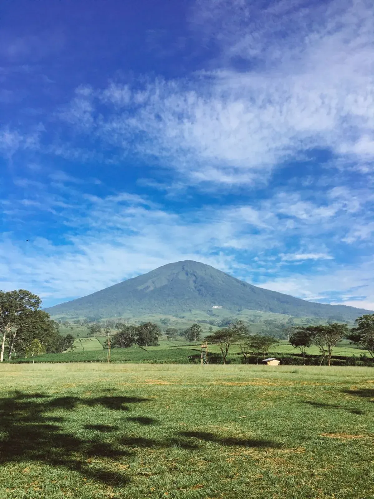 Mendaki Gunung Dempo: Menyapa Keindahan Alam di Puncak Sumatera Selatan (Sumber: Pinterest | Foto: Diah)