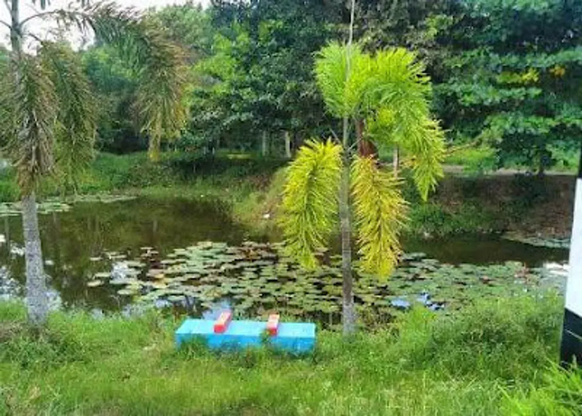 Taman Wisata Alam Gunung Ibul: Surga Hijau di Sumatera Selatan (Sumber: travelingmedan.com | Foto: Bara Lavasha)