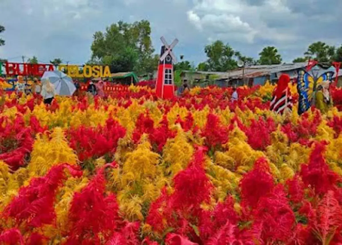 Taman Bunga Celosia Spring Hill: Pesona Wisata Alam dengan Warna-warni Bunga yang Memikat (Sumber: google maps | Foto: fenny 06)