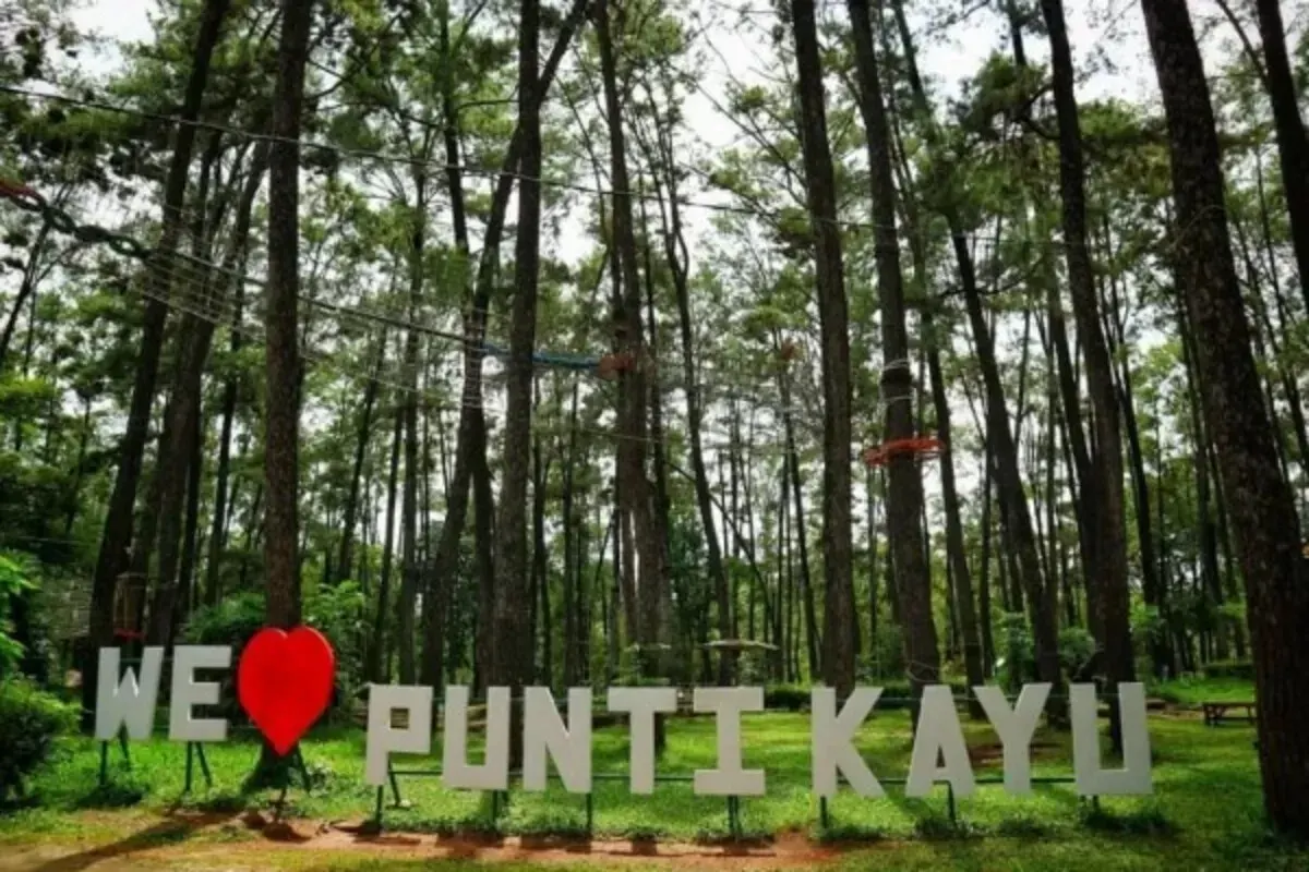 Hutan Wisata Punti Kayu: Pesona Alam dan Rekreasi Keluarga di Palembang (Sumber: bing.com/images | Foto: vrogue.co)