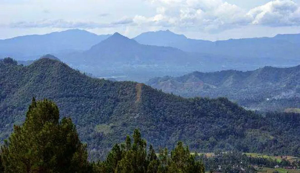 Wisata Camping dan Hiking di Pegunungan Bukit Barisan: Pesona Alam yang Tak Terlupakan (Sumber: google.com | Foto: homecare24.id)