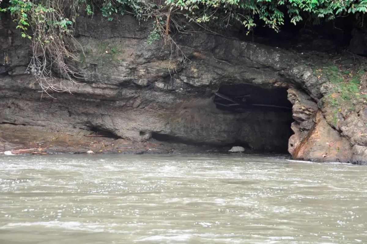 Gua Batu Naga: Wisata Alam Lubuklinggau yang Sarat Misteri dan Keindahan (Sumber: google.com | Foto: giwang.sumselprov)